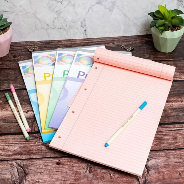 Pukka A4 Irlen Pad 4 Hole Punched Rose - 100 page